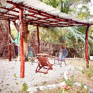  Hotel Mr Mexico